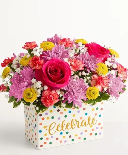 Celebrate The Day  cheerful 