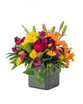 Our Celebrate the Day Cube