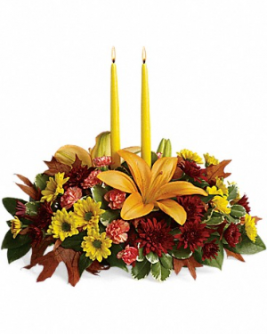 Celebrate Together T570-1A 19.5"(w) x 17"(h)