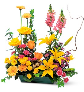 CELEBRATION GARDEN 