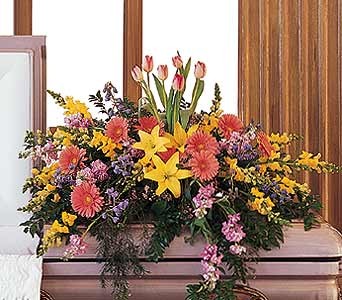 Celebration of Life 