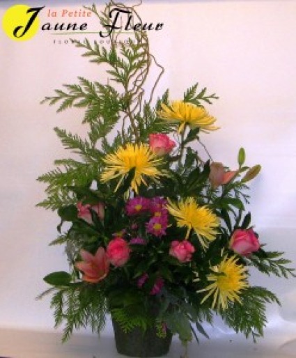 Sympathy-Celebration of Life 
