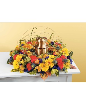 Celebration of Life Cremation Tribute Cremation/Memorial Arrangement
