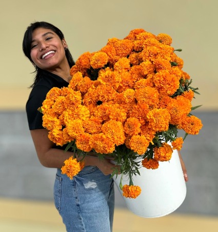 Cempasuchil/Marigold 
