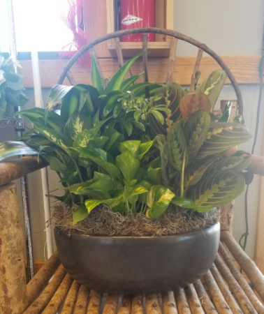 Ceramic Dish Garden (14in) 
