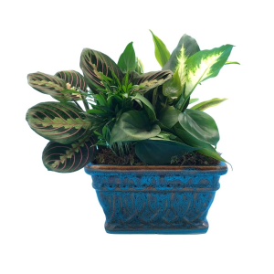 Ceramic Dish Garden 