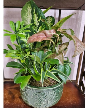 Ceramic Dishgarden 