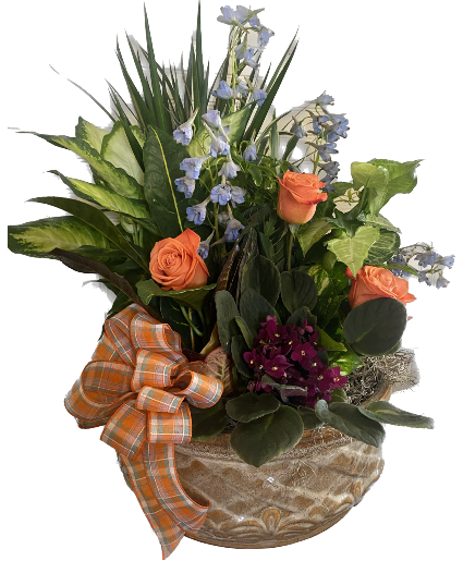 Classic Ornamental Dish Garden 