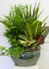 Ceramic Garden Planter 