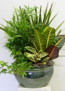 Ceramic Garden Planter 