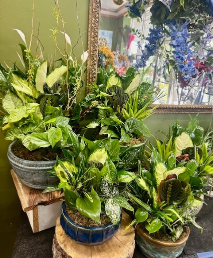 CERAMIC PLANTER 3 SIZES AVAILABLE