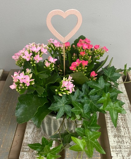 Ceramic Planter 