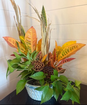 Ceramic planter with assorted plants Dish Garden