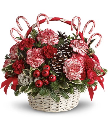 Candy cane basket   in Delray Beach, FL | Greensical Flowers Gifts & Decor