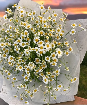 chamomile bouquet  hand tied flowers