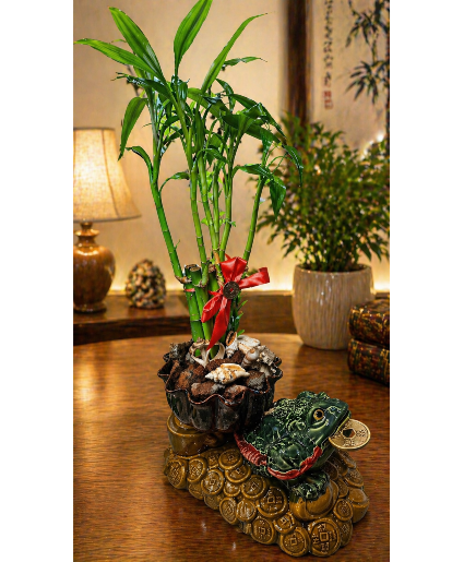 Chan Chu’s Bamboo Fortune Call Us for Faster Service & Daily Specials: (915) 303-8500 Text Us to Order Anytime: (915) 505-3708 Your trusted source for Flowers & Delivery in El Paso TX