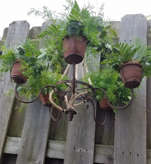 Chandelier & Greenery Chandelier & Greenery
