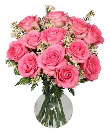 Chantilly Pink Roses Arrangement in Spring, TX | Spring Trails Florist