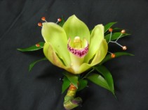 Charming Orchid Boutinneere  