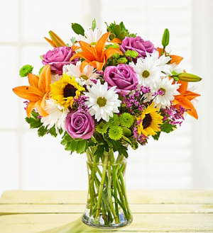 Cheerful Blooms 
