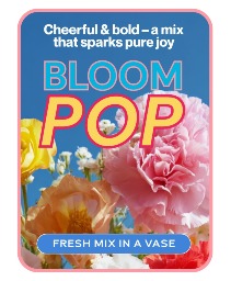 Cheerful & Bold Designer’s Choice Flower Arrangement