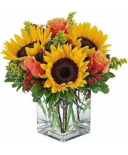 Cheerful Sunflowers 