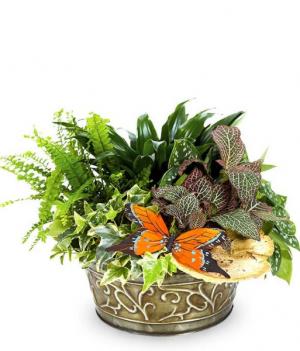 Cheerful Times A Head Planter