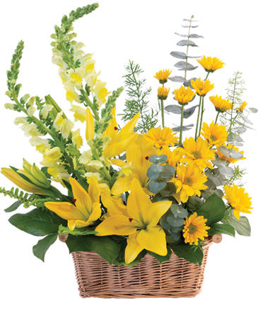 Cheerful Yellow Basket Arrangement in Riverside, CA | Willow Branch Florist of Riverside