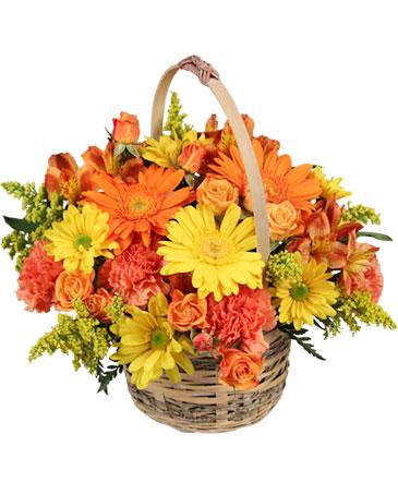 Cheergiver Basket in Coleman, WI | COLEMAN FLORAL & GREENHOUSES