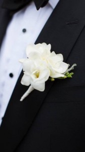 Fragrant freesia Boutonnière