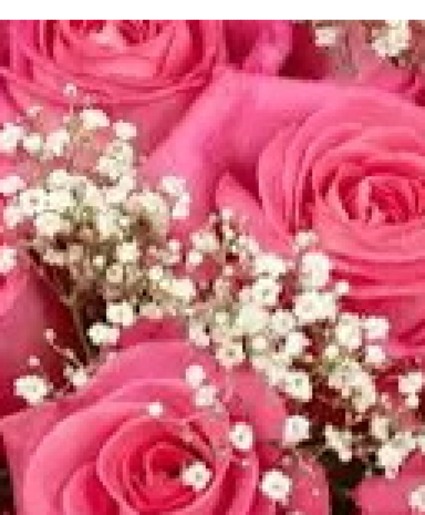 Cheers to you- pink roses