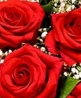 Cheers to you- red roses