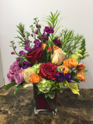 Cheery and Bright Any Occasion