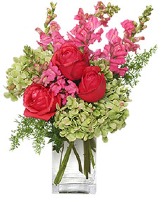  The Chelsea Belle Fleurs Collection 