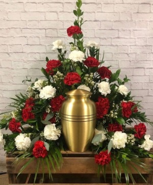 Cherished Farewell Carnations  sympathy 