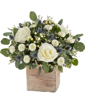 Cherished garden  