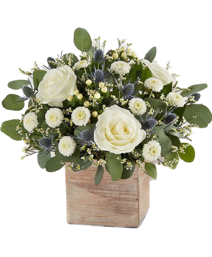 Cherished garden  