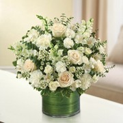 Cherished Memories - All White All Around