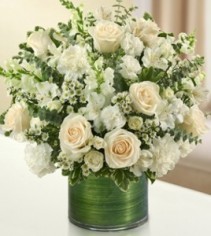 Cherished Memories - All White 