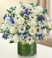 Cherished Memories - Blue and White 