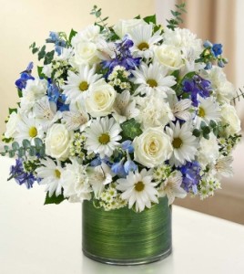 Cherished Memories - Blue and White 