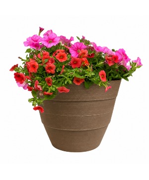 Outdoor Assorted Mother's Day Planter OUTDOOR