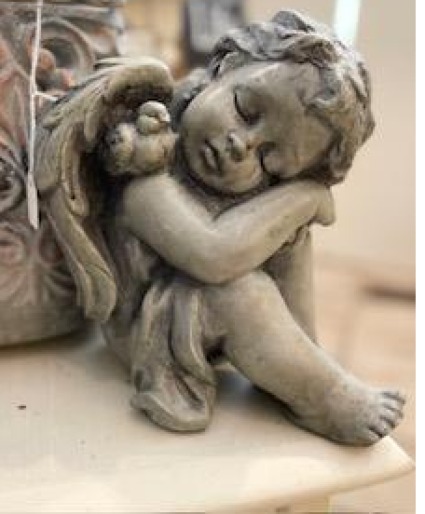 Cherub 