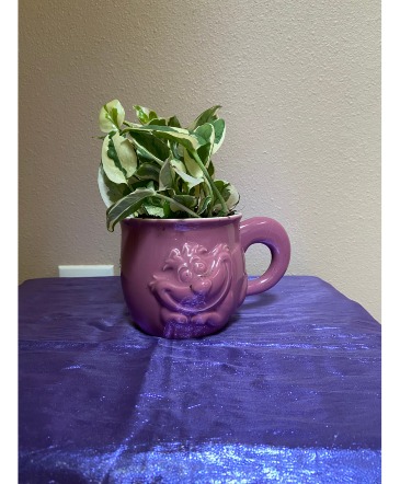 chesire cat planter 1 in stock  #2 chesire cat mug with verigated pothos in Renton, WA | Alicia's Wonderland II