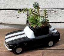 Chevy Camaro Plant Garden 