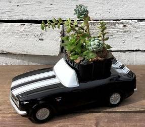 Chevy Camaro Plant Garden 