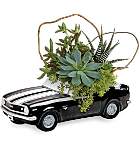 CHEVY CAMERO PLANT GARDEN FATHERS DAY