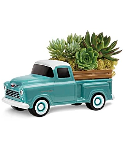 CHEVY TRUCK SUCCULENT GARDEN 