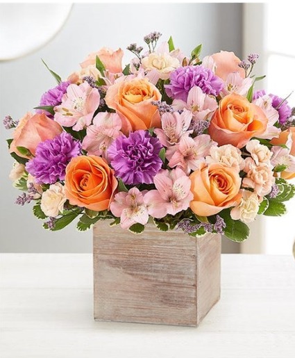Chic Garden 