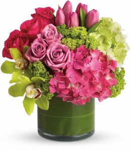Chic Sensations cylinder arrangement